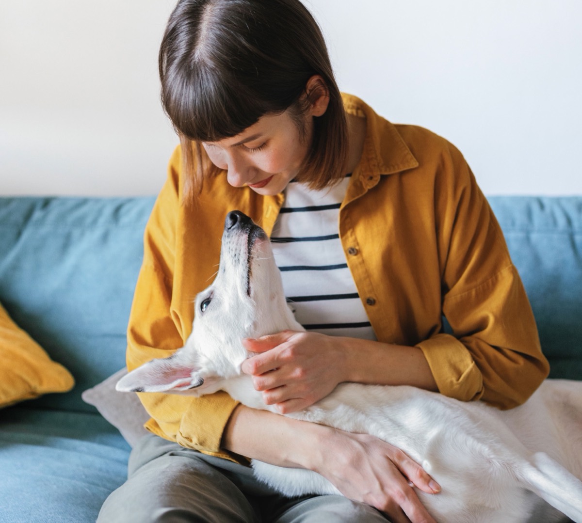 Halterin sieht ihren Hund liebevoll und aufmerksam an